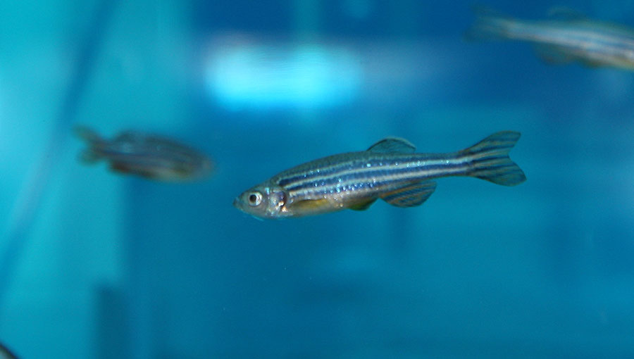 杭州環特生物科技股份有限公司